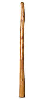 Gloss Finish Flared Didgeridoo (TW943)